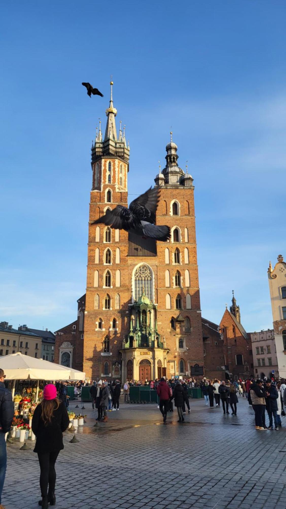 Ap4You Tauron Cracow Краків Екстер'єр фото